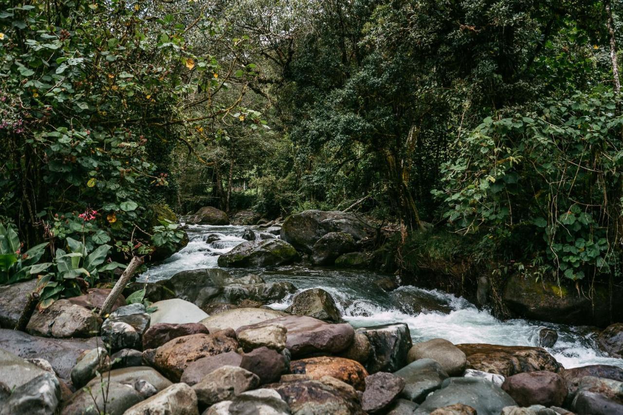Trogon Lodge Сан Херардо де Дота Екстериор снимка