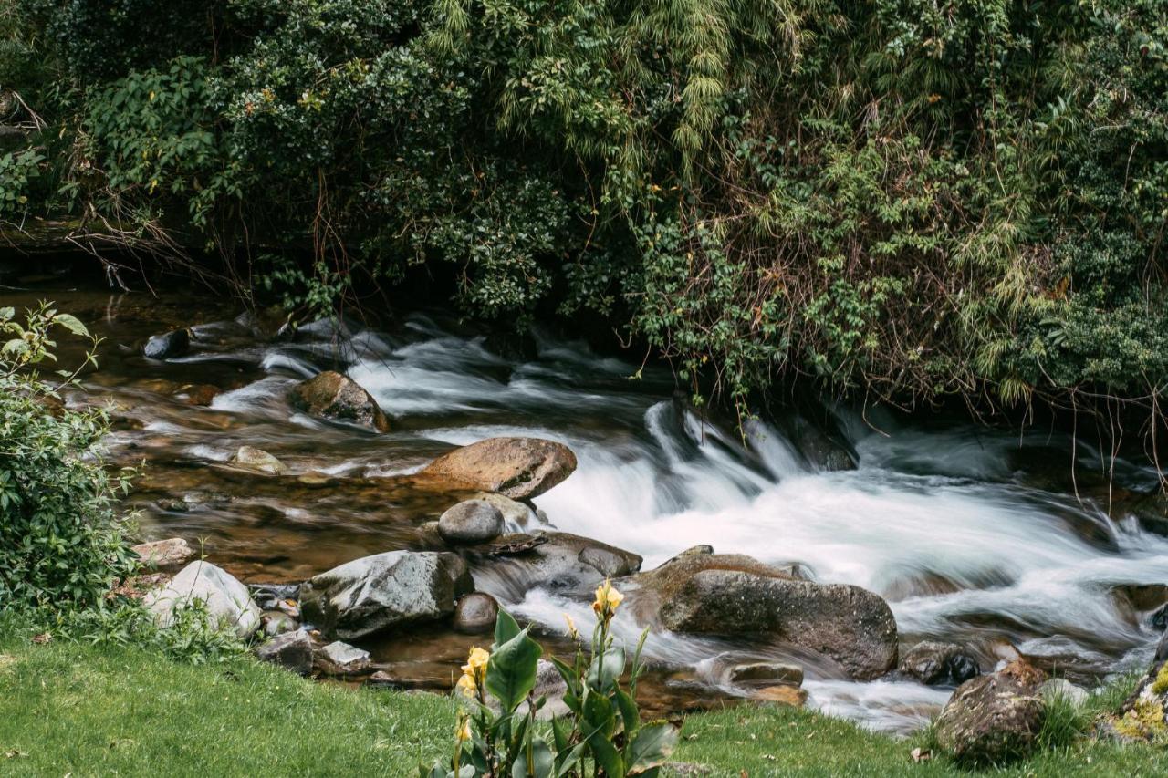 Trogon Lodge Сан Херардо де Дота Екстериор снимка