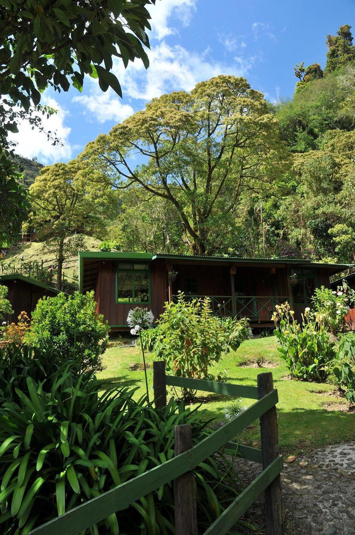 Trogon Lodge Сан Херардо де Дота Екстериор снимка